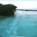 Lagune de Bacalar, Riviera Maya, www.terre-maya.com